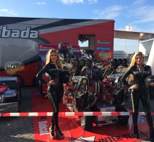 Paddock girls Lambada